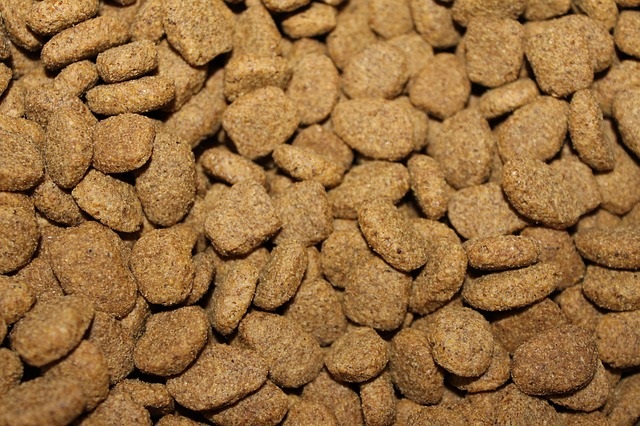 What is meat meal in dog food?