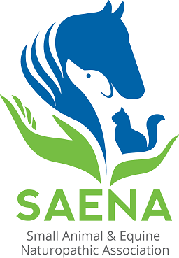 SAENA logo